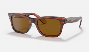 Ray-Ban Burbank Sunglasses Havana and Brown RB2283