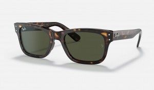 Ray-Ban Burbank Sunglasses Havana and Green RB2283