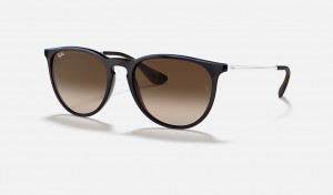 Ray-Ban Erika Classic Sunglasses Blue and Brown RB4171