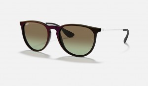 Ray-Ban Erika Classic Sunglasses Black and Brown RB4171