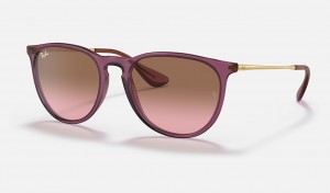Ray-Ban Erika Classic Sunglasses Transparent Violet and Brown RB4171