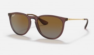 Ray-Ban Erika Classic Sunglasses Transparent Dark Brown and Brown RB4171