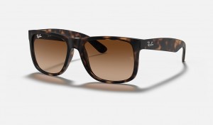 Ray-Ban JustClassic Sunglasses Havana and Brown RB4165