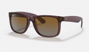 Ray-Ban JustClassic Sunglasses Transparent Dark Brown and Brown RB4165