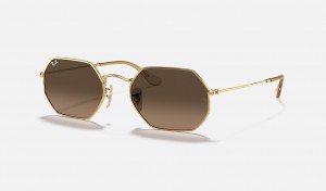 Ray-Ban Octagonal Classic Sunglasses Gold and Brown RB3556N