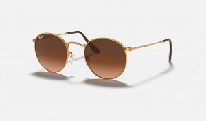 Ray-Ban Round Metal Sunglasses Light Bronze and Pink/Brown RB3447