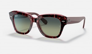 Ray-Ban State Street Sunglasses Havana On Transparent Purple and Green/Blue RB2186