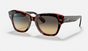 Ray-Ban State Street Sunglasses Havana On Transparent Pink and Brown/Blue RB2186