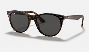 Ray-Ban Wayfarer Ii Classic Sunglasses Havana On Transparent Brown and Dark Grey RB2185